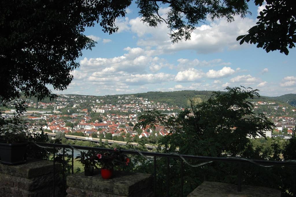 Schloss Neuburg Hotel Mosbach  Eksteriør billede